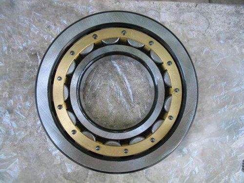 Advanced conveyor idler bearing 6310